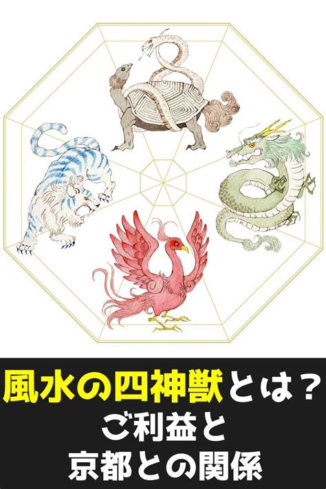 風水四神獣|四神獣の意味と性格の特徴！属性や能力・最強は？